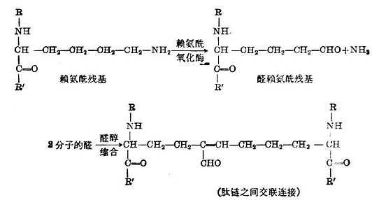 linchuangyingyangxue166.jpg