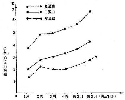 linchuangyingyangxue156.jpg