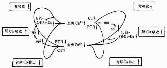 linchuangyingyangxue107.jpg